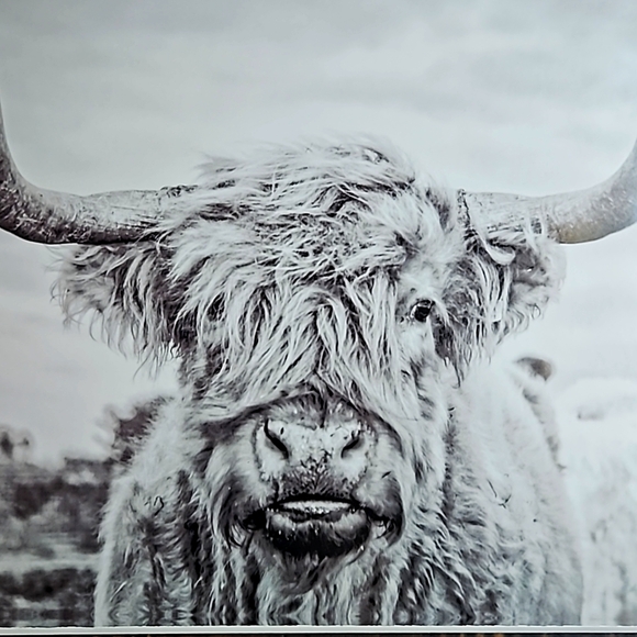 COW WALL ART - Picture 2 of 4